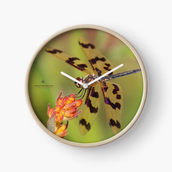 Graphic Flutterer Clock