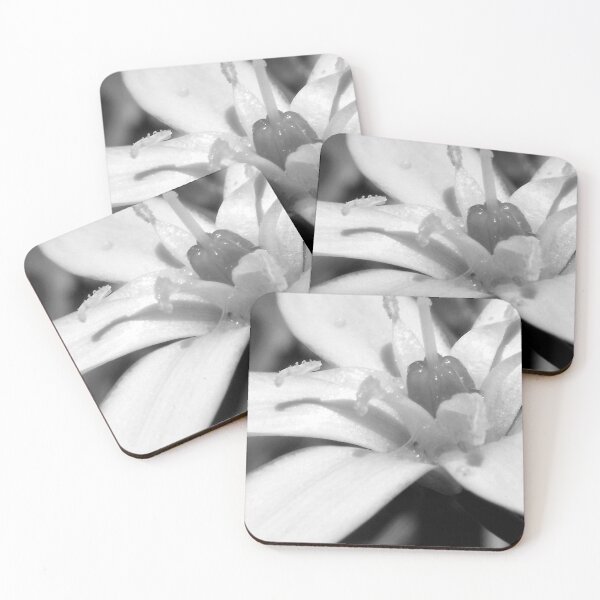 Item preview, Still Beautiful designed and sold by Richard Sims.