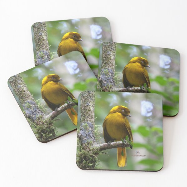 Item preview, Golden Bowerbird  designed and sold by Wanderingeagles.
