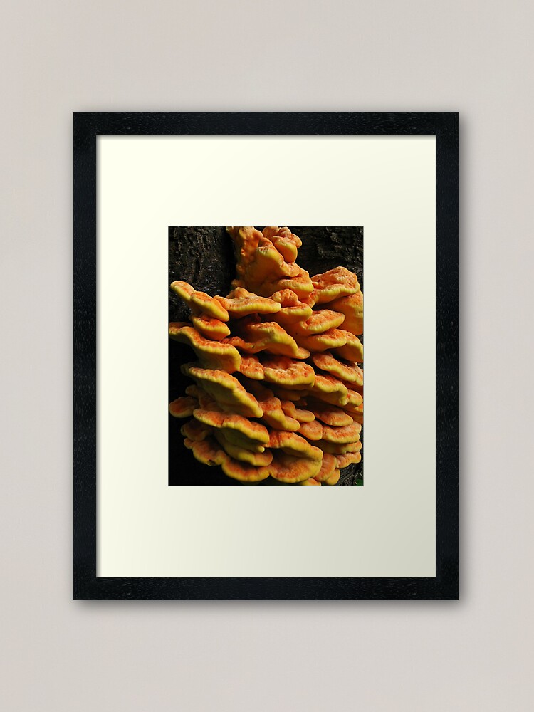 Thumbnail 1 of 7, Framed Art Print, As orange as orange can be designed and sold by steppeland.