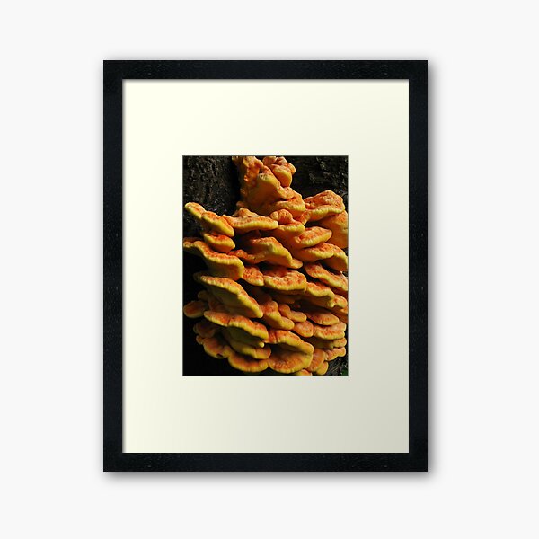 Framed Art Print