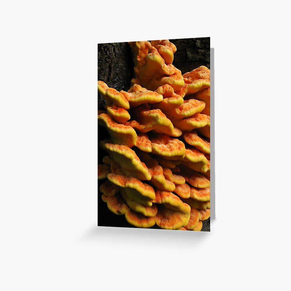 Item preview, Greeting Card designed and sold by steppeland.