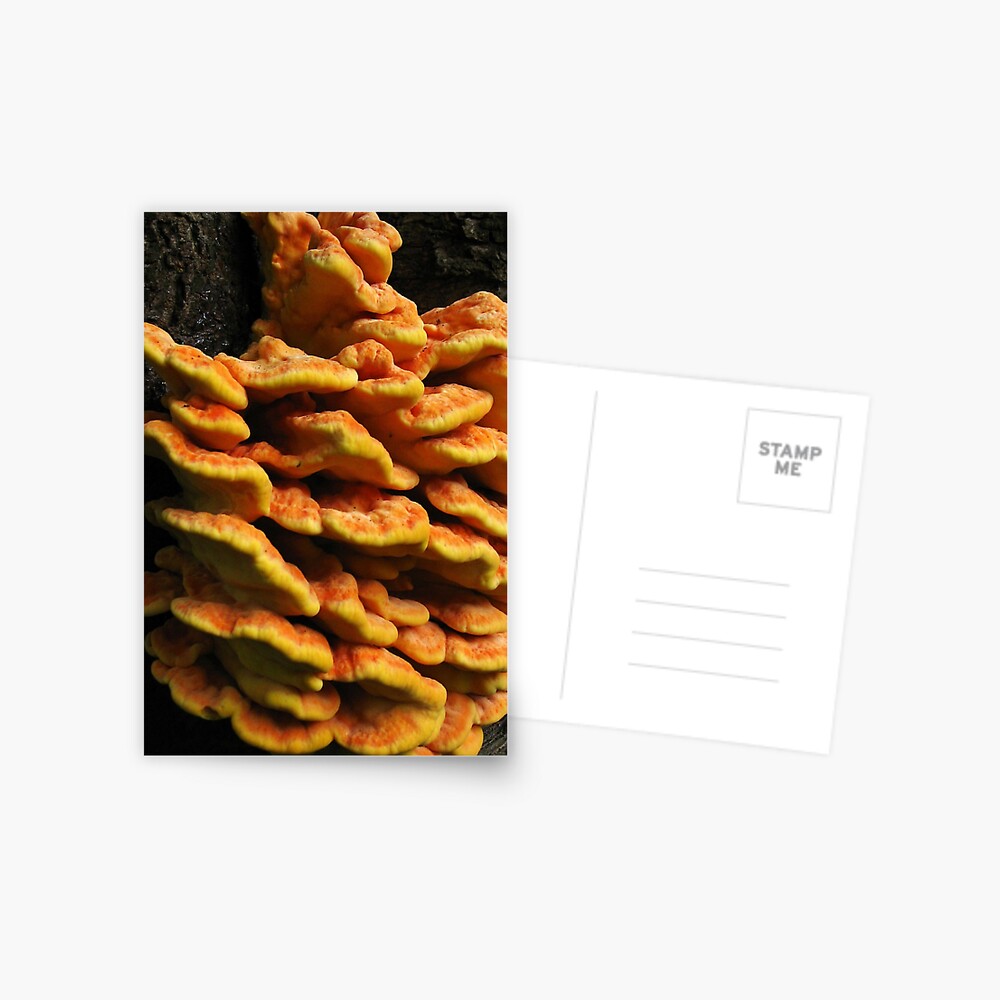 Item preview, Postcard designed and sold by steppeland.