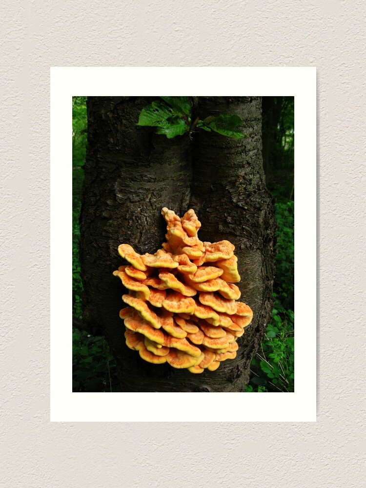 Thumbnail 1 of 3, Art Print, Outburst of orange designed and sold by steppeland.