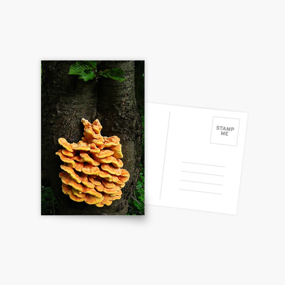 Item preview, Postcard designed and sold by steppeland.