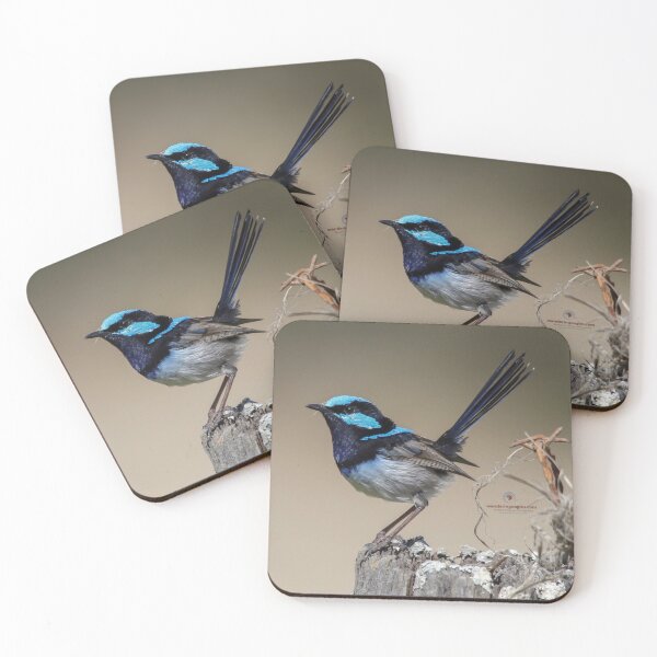 Item preview, Superb Fairywren  designed and sold by Wanderingeagles.