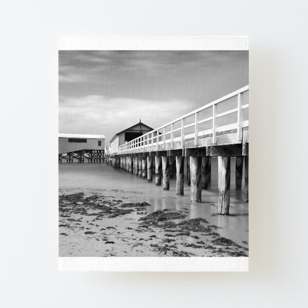 Canvas Mounted Print
