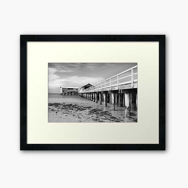 Framed Print