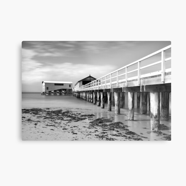 Metal Print