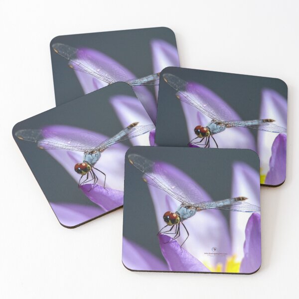 Item preview, Palemouth Dragonfly designed and sold by Wanderingeagles.