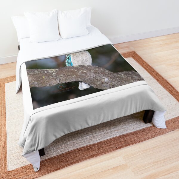 Blue-winged Kookaburra Comforter