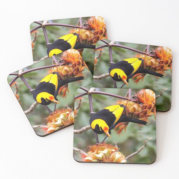 Item preview, Regent Bowerbird  designed and sold by Wanderingeagles.