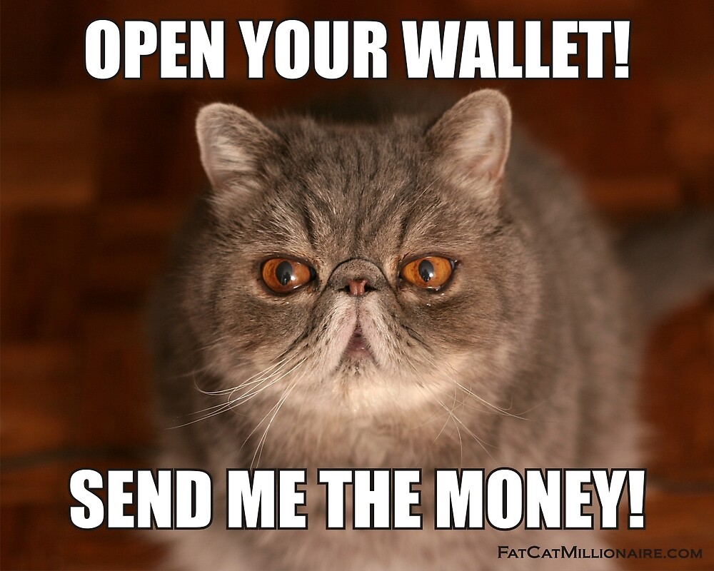 open-your-wallet-send-me-the-money-by-fatcatblueberry-redbubble