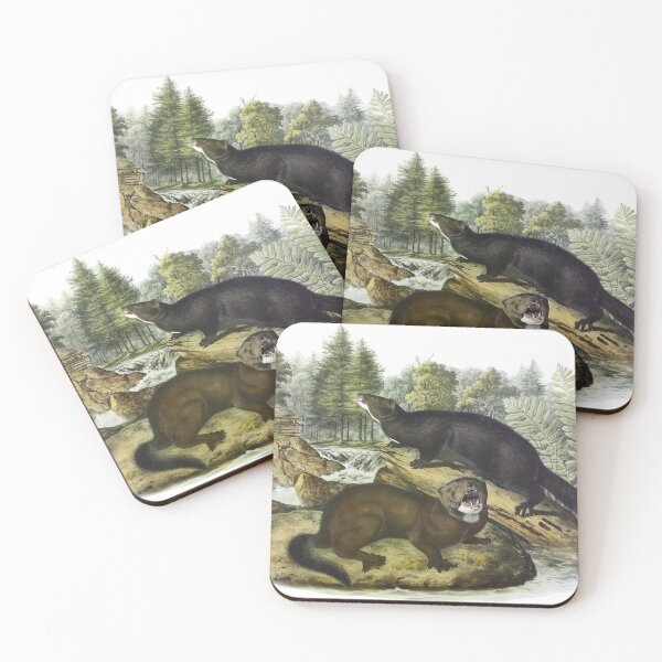 Item preview, Mink - James Audubon designed and sold by billythekidtees.
