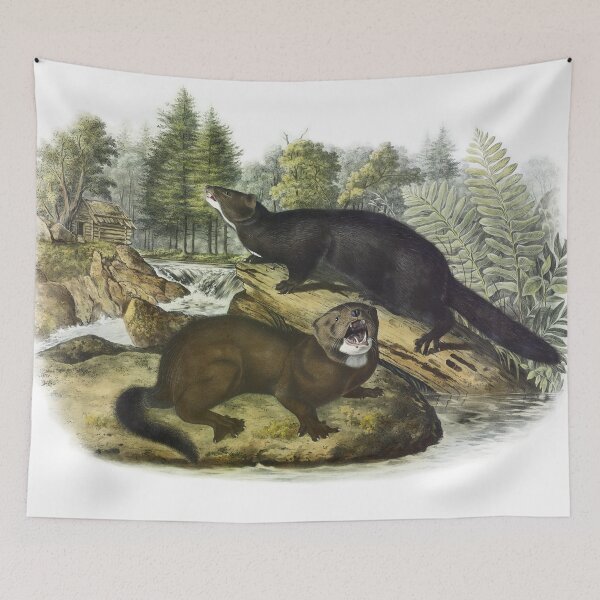 Item preview, Mink - James Audubon designed and sold by billythekidtees.
