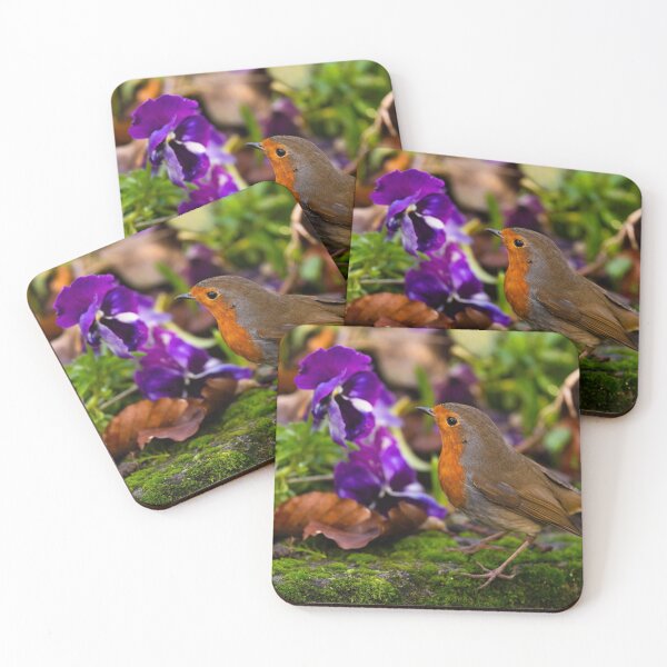 Item preview, Robin on a mossy path, County Kilkenny, Ireland designed and sold by AndrewJonesFoto.