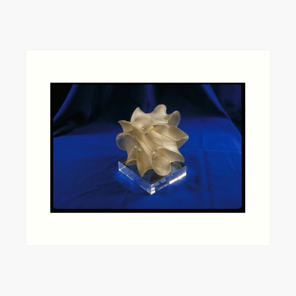 Item preview, Calabi-Yau Manifold, Stereolithograph designed and sold by Stewart Dickson.