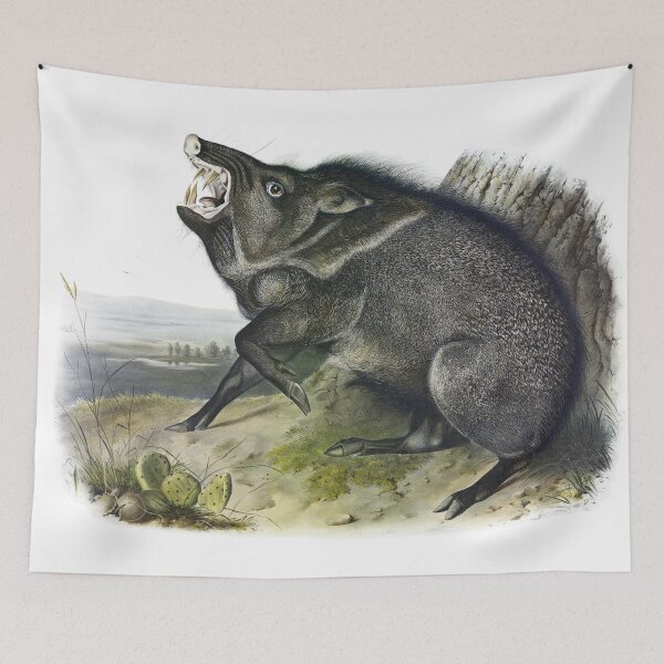 Item preview, Collared Peccary - James Audubon designed and sold by billythekidtees.