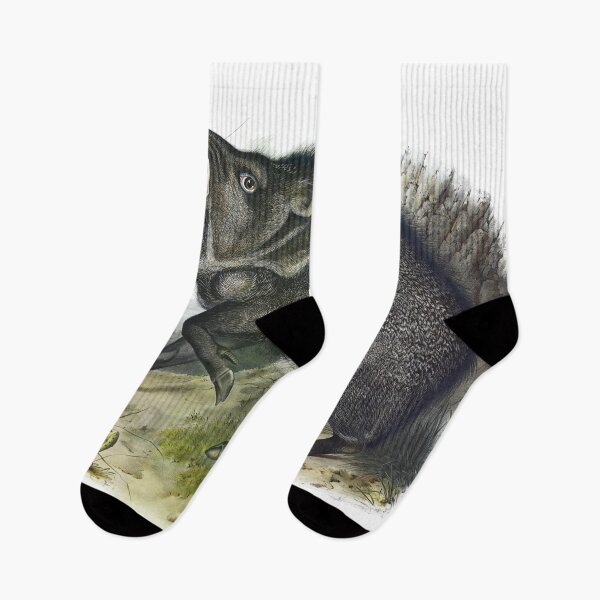 Item preview, Collared Peccary - James Audubon designed and sold by billythekidtees.