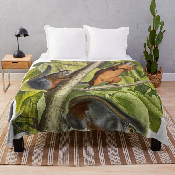 Item preview, Red Bellied Squirrel - James Audubon designed and sold by billythekidtees.
