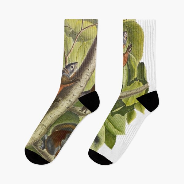 Item preview, Red Bellied Squirrel - James Audubon designed and sold by billythekidtees.