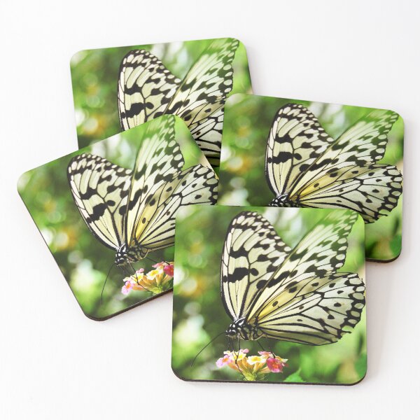 Item preview, Butterfly Dream designed and sold by WaterGardens.