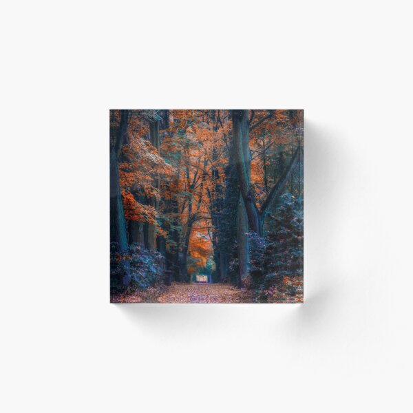 the golden autumn way Acrylic Block