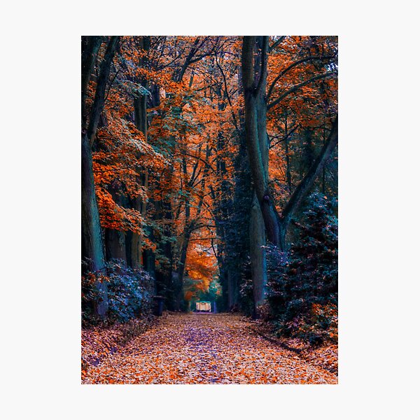 Item preview, the golden autumn way designed and sold by Brian  Dwyer.