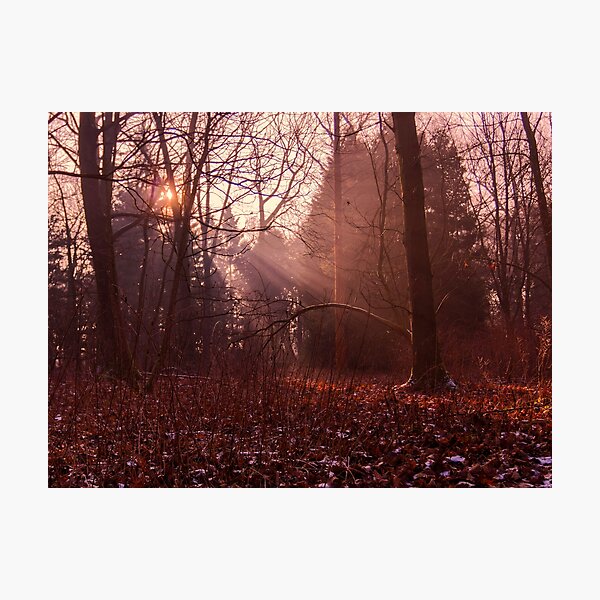 Item preview, golden foggy winter morning designed and sold by Brian  Dwyer.