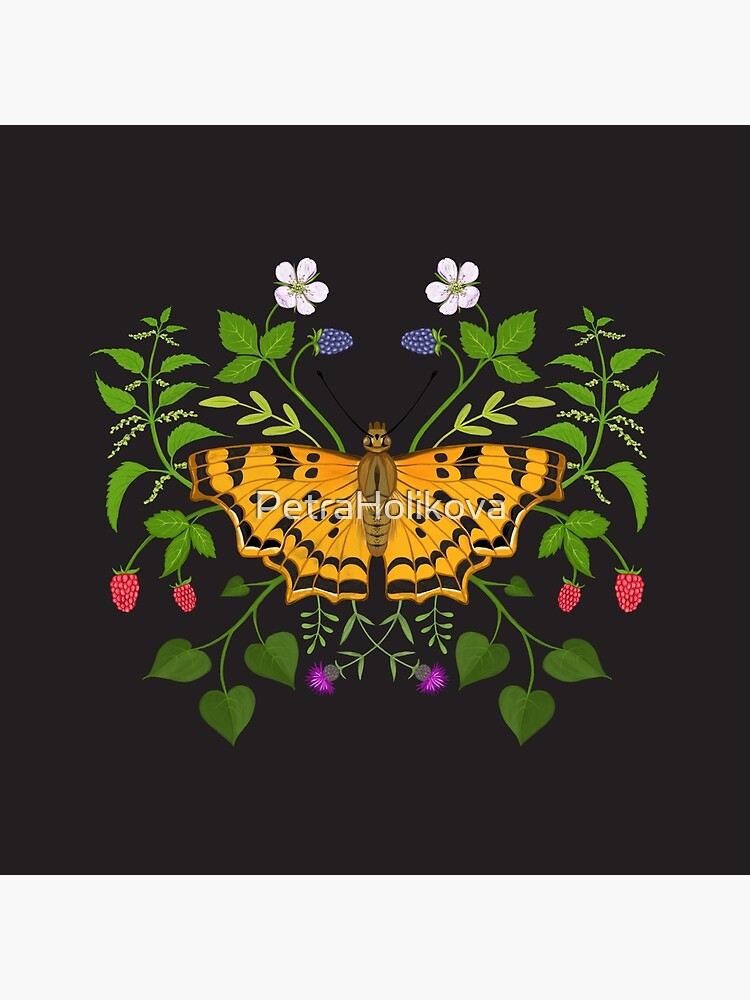 Butterfly with berries by PetraHolikova