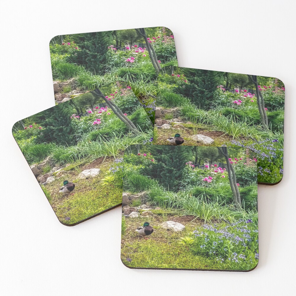Item preview, Coasters (Set of 4) designed and sold by Racsontos.