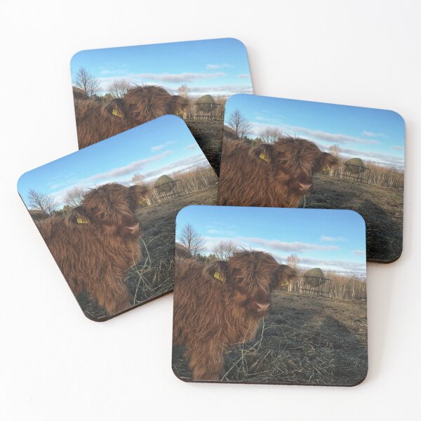 Item preview, Scottish Highland Cattle Calf 1840 designed and sold by SaarelaHighland.