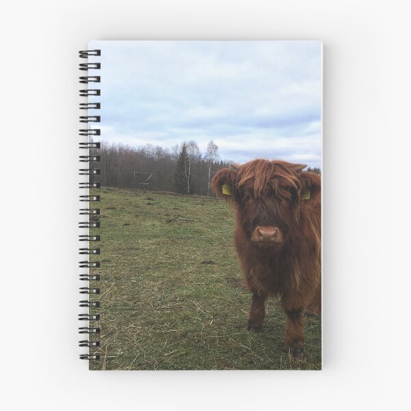 Item preview, Scottish Highland Cattle Calf 1841 designed and sold by SaarelaHighland.