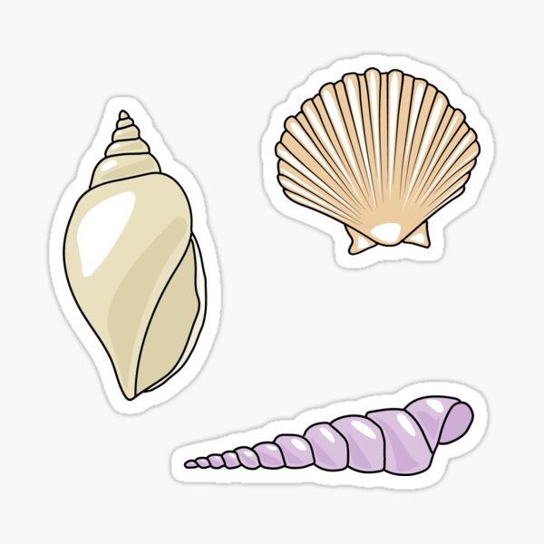 Sea Shells Sticker