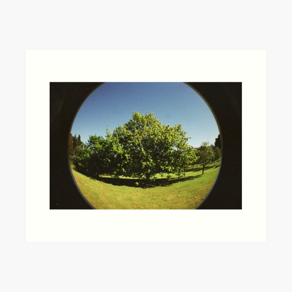 Item preview, Diamond Harbour Tree designed and sold by Steven Carpinter.