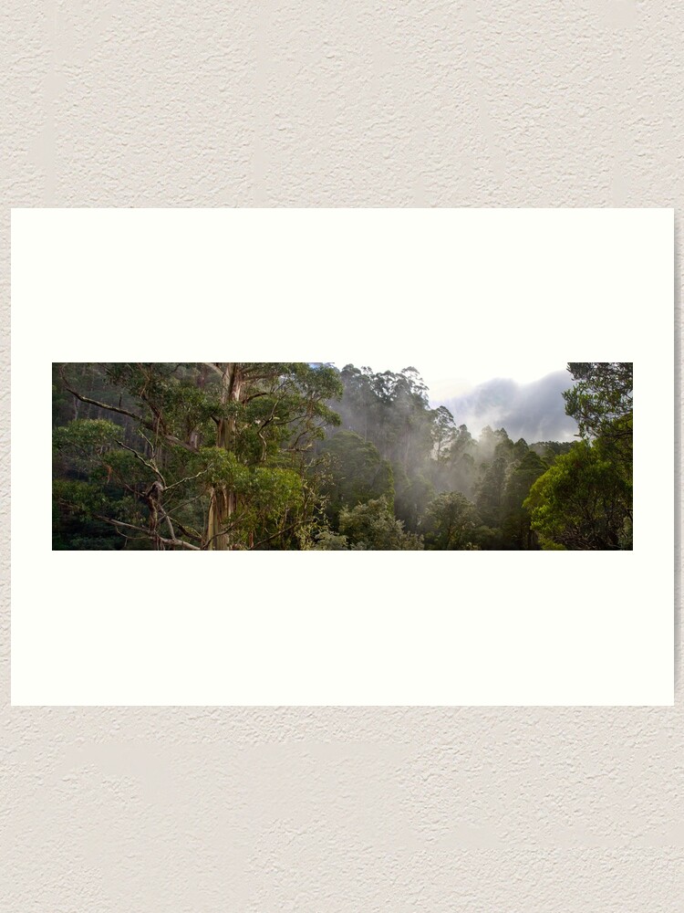 Alternate view of Tree Tops Art Print