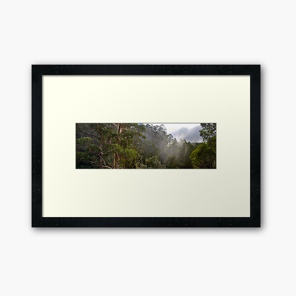 Tree Tops Framed Art Print