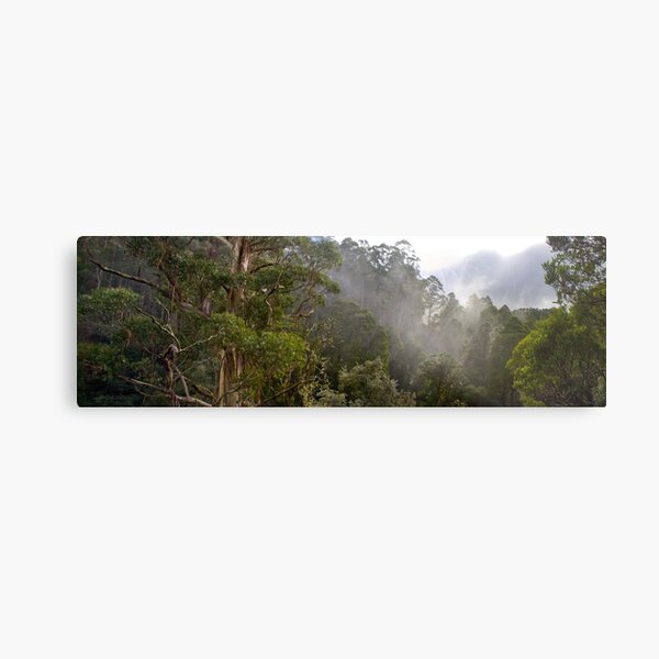 Tree Tops Metal Print