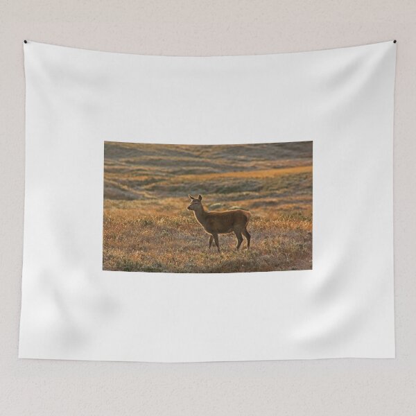 Item preview, Red Deer at Dawn designed and sold by beavo.