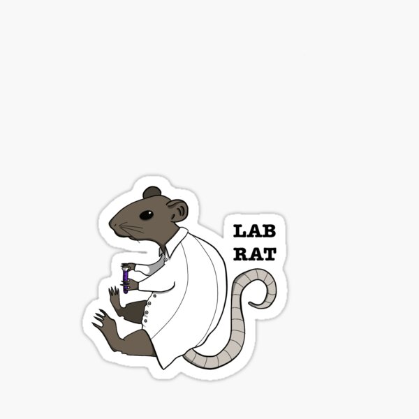 Lab Ratz Experiment 2 - Cartoon Rat - Sticker