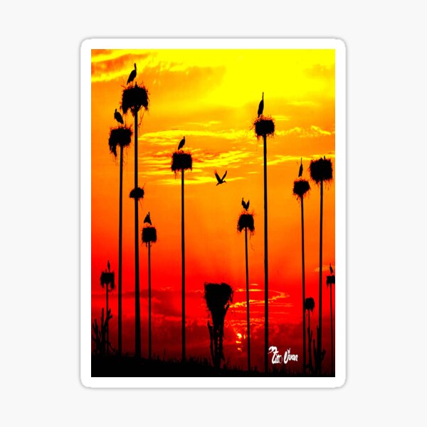 Birds Sticker