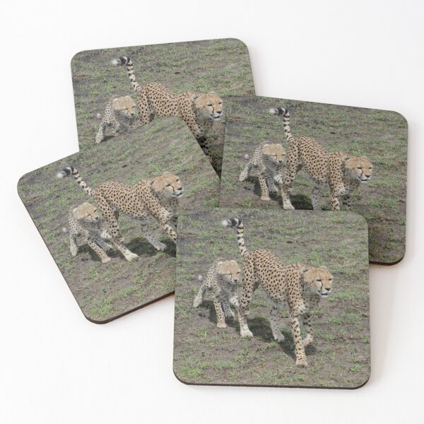 Item preview, Cheetah Mom With Cub On Her Leg, Kenya, Africa. designed and sold by Tom Wurl.