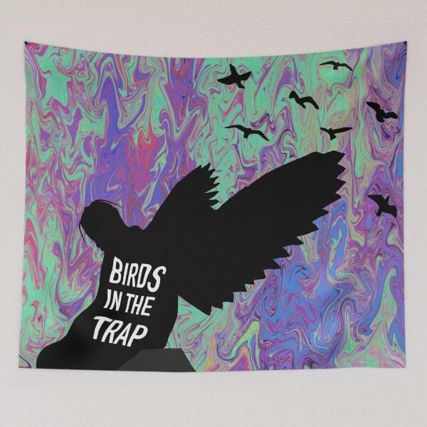Item preview, Birds in the trap designed and sold by musicallyfit.