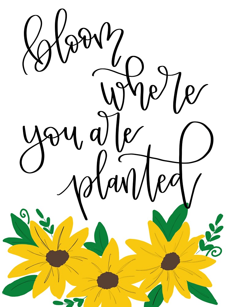 bloom where you are planted”