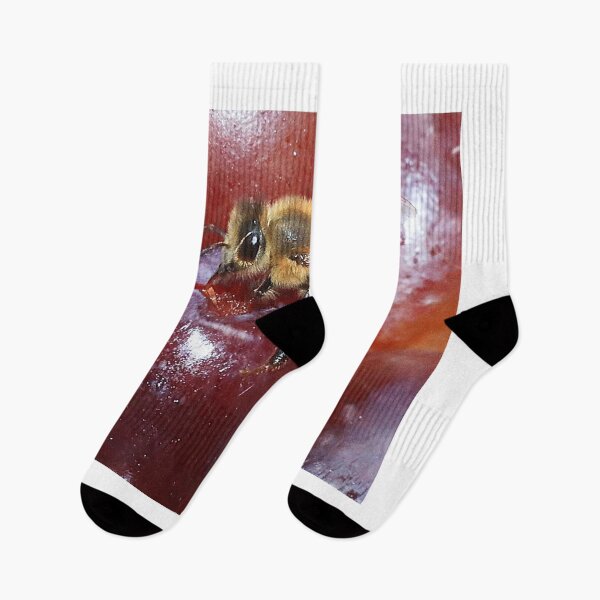 Item preview, Honey Bee at Christmas designed and sold by Brenda Burnett.