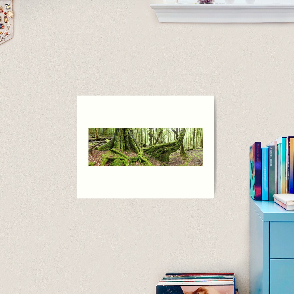 Mossy Myrtle Forest, Cradle Mountain, Tasmania Art Print
