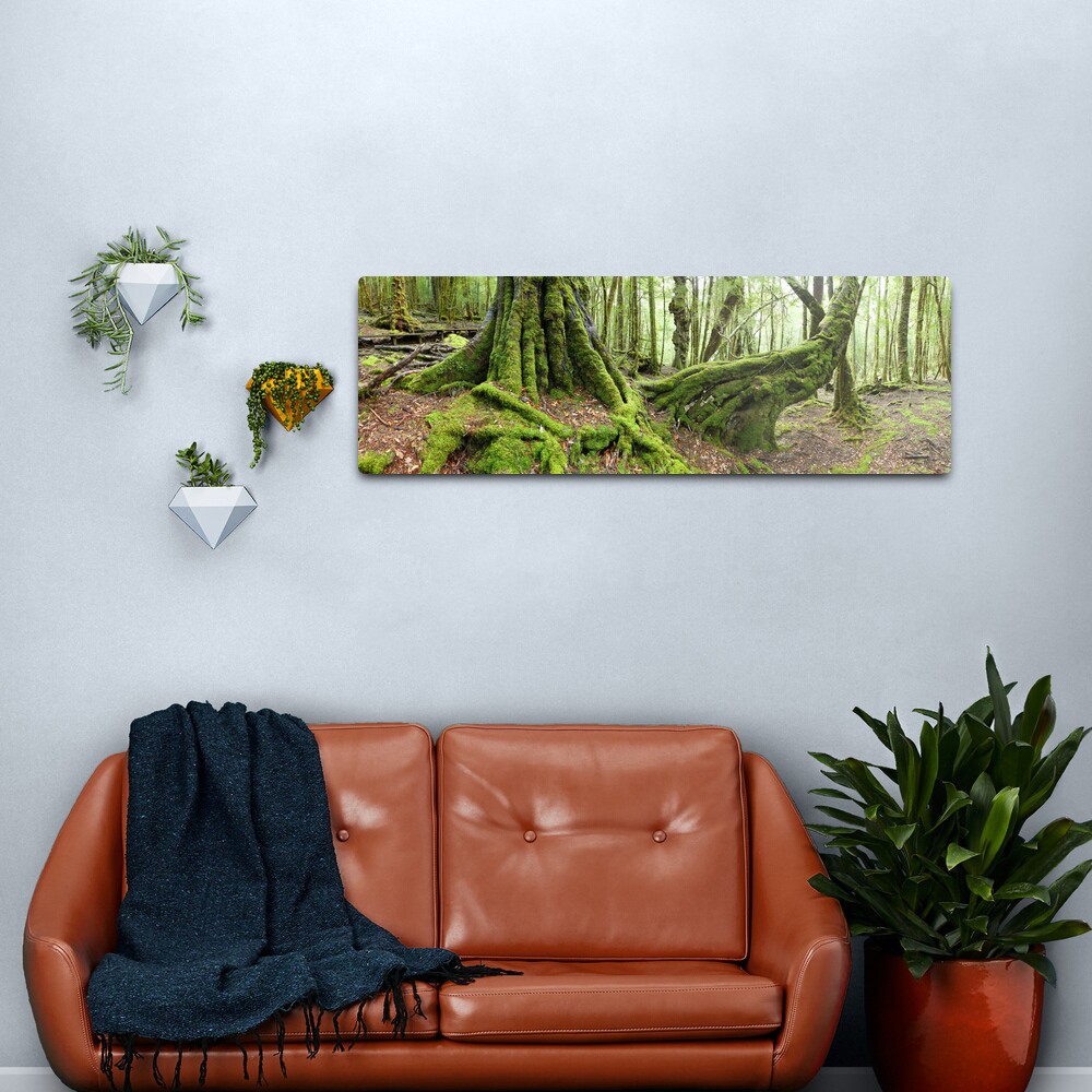 Mossy Myrtle Forest, Cradle Mountain, Tasmania Metal Print