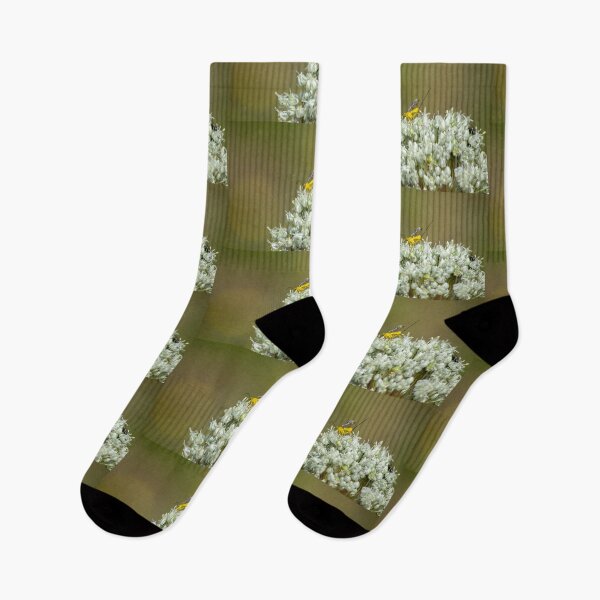 Item preview, A Yellow wasp in the Leek flower designed and sold by Clare Colins.