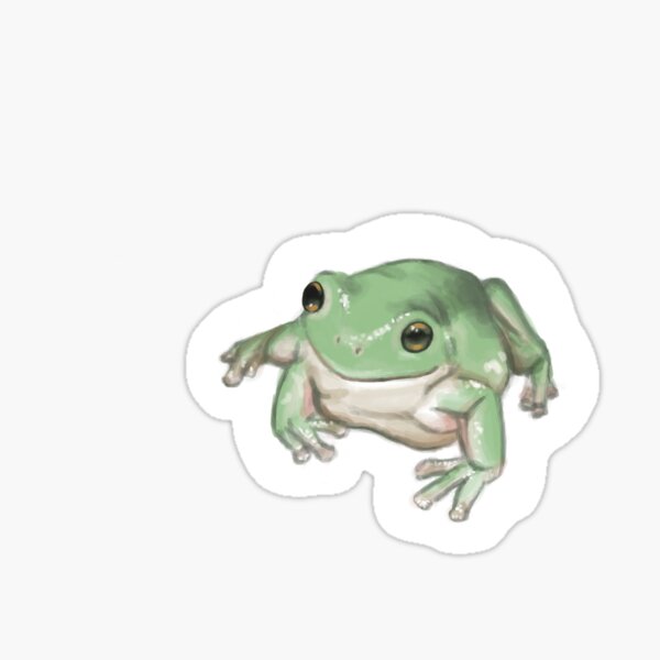 White's Tree Frog Sticker – Amphisbaena Exotics