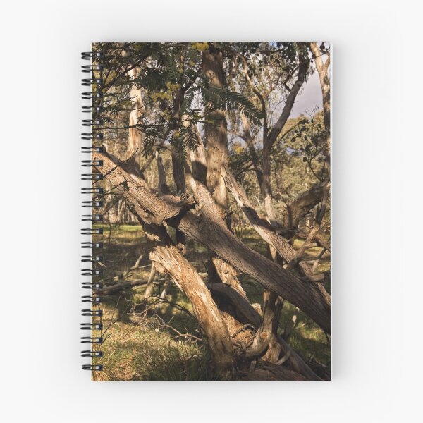 Item preview, Aranda Bushland Nature Reserve (7) designed and sold by Wolf Sverak Photography.